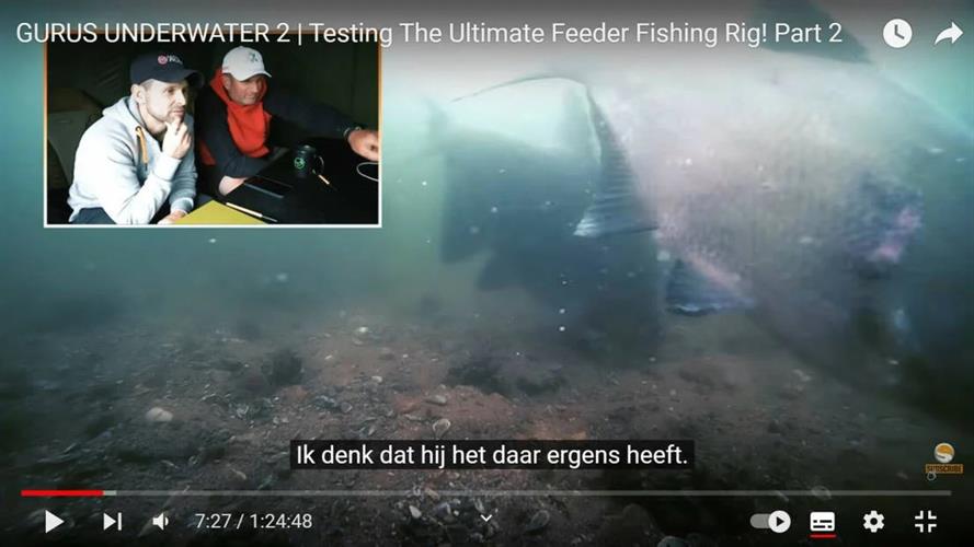 Kijktip: GURUS UNDERWATER (video)