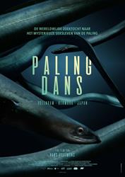 Nieuwe film Palingdans: hoe zit de voortplanting van de paling?
