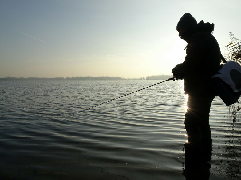 Wadend snoekvissen op de Stootersplas